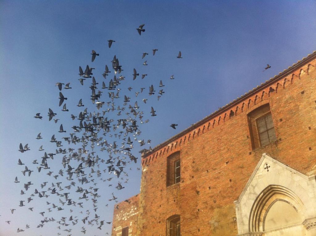ラ ロカンダ ディ サン フランチェスコ Montepulciano Stazione 部屋 写真